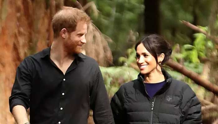 Harrys page updated, Meghans left unchanged on Royal website after Queens death