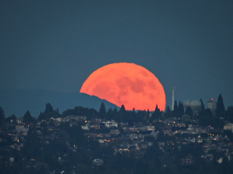 Strawberry moon rising over West Seattle tonight. — Twitter/@KristinLRaught