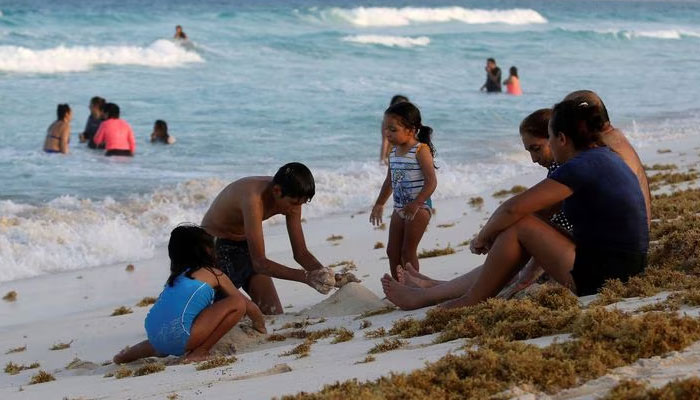 Tourists are seen on a beach covered with seaweed. — Reuters/File