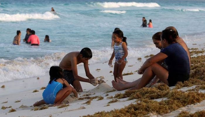 Wisatawan terlihat di pantai yang ditumbuhi rumput laut.  — Reuters/Berkas