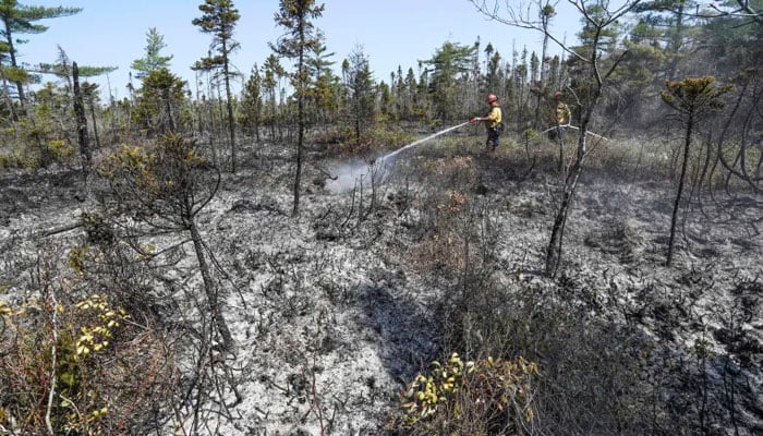 موسمیاتی تبدیلی: کینیڈا کے جنگلات کی آگ امریکہ کے وسط مغرب میں ہوا کے معیار کو متاثر کرتی ہے۔  اے ایف پی/فائل