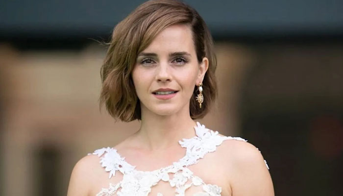 Emma Watson finds her match in intelligence after Brandon Green split