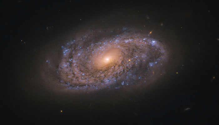 This image displays a swirling spiral galaxy named NGC 2906. — Nasa/File