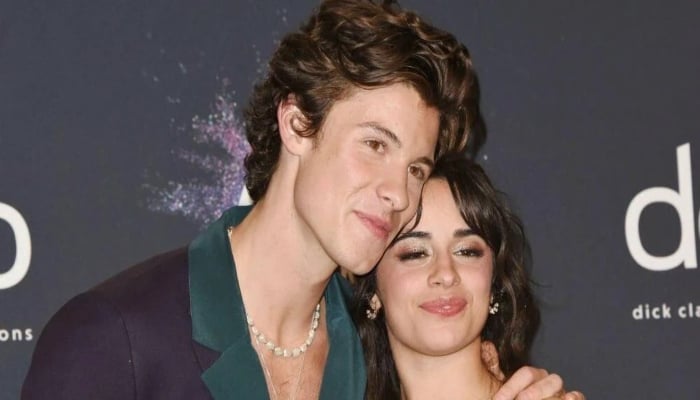 Shawn Mendes, Camila Cabello go separate ways after rekindling romance