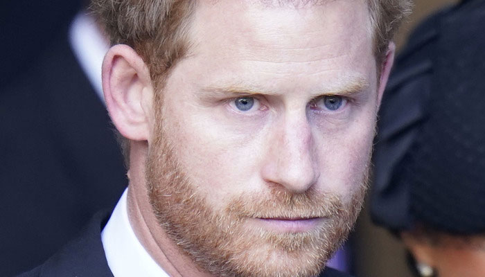 Prince Harry should ‘be a bit more careful what he wishes for’