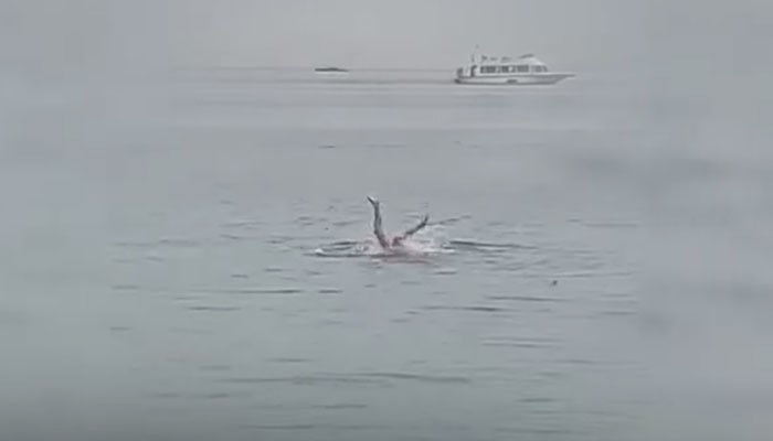 This screengrab shows a man grabbed by a shark on June 8, 2023, at Red Sea, Egypt. — YouTube/DailyMail