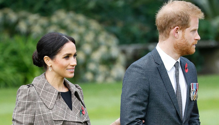 Prince Harry, Meghan Markle ‘can’t use singing birds’ to make ‘everything peachy’
