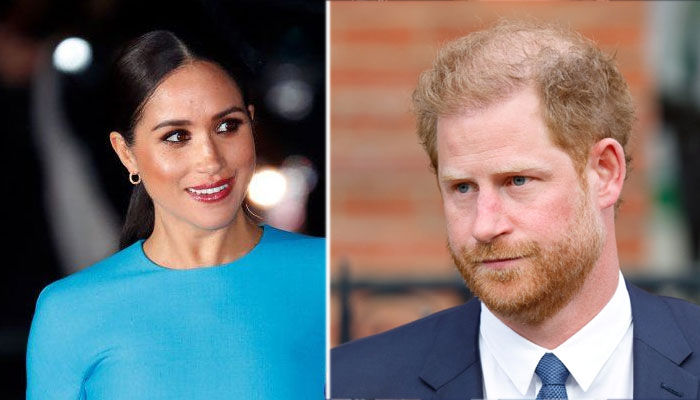 Prince Harry, Meghan Markle have ‘lost even the woke’ Americans