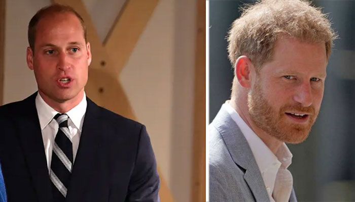 Prince William ‘wary’ of Prince Harry: ‘What else could he say’