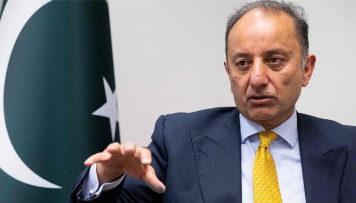 State Minister of Petroleum Musadik Malik during an interview. — AFP/File