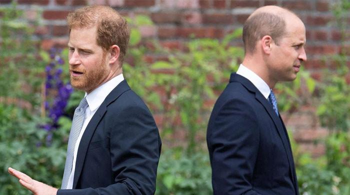 Prince Harry and Prince William are ‘most definitely not alike in dignity’