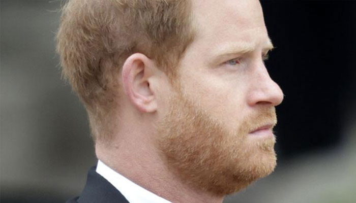 Prince Harry has been used ‘as an instrument all his life’