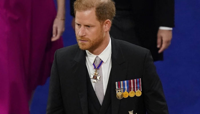 Prince Harry will ‘bring it all down’ the ‘monarchy, media, the whole ...