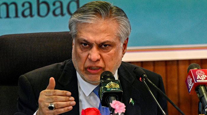 ‘Pakistan cannot accept everything IMF says’, Dar tells lender on budget criticism