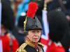 Princess Anne extoled for supporting her brother 