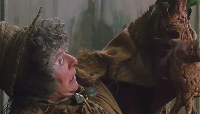 Miriam Margolyes played fan-favourite Professor Sprout in the Harry Potter series