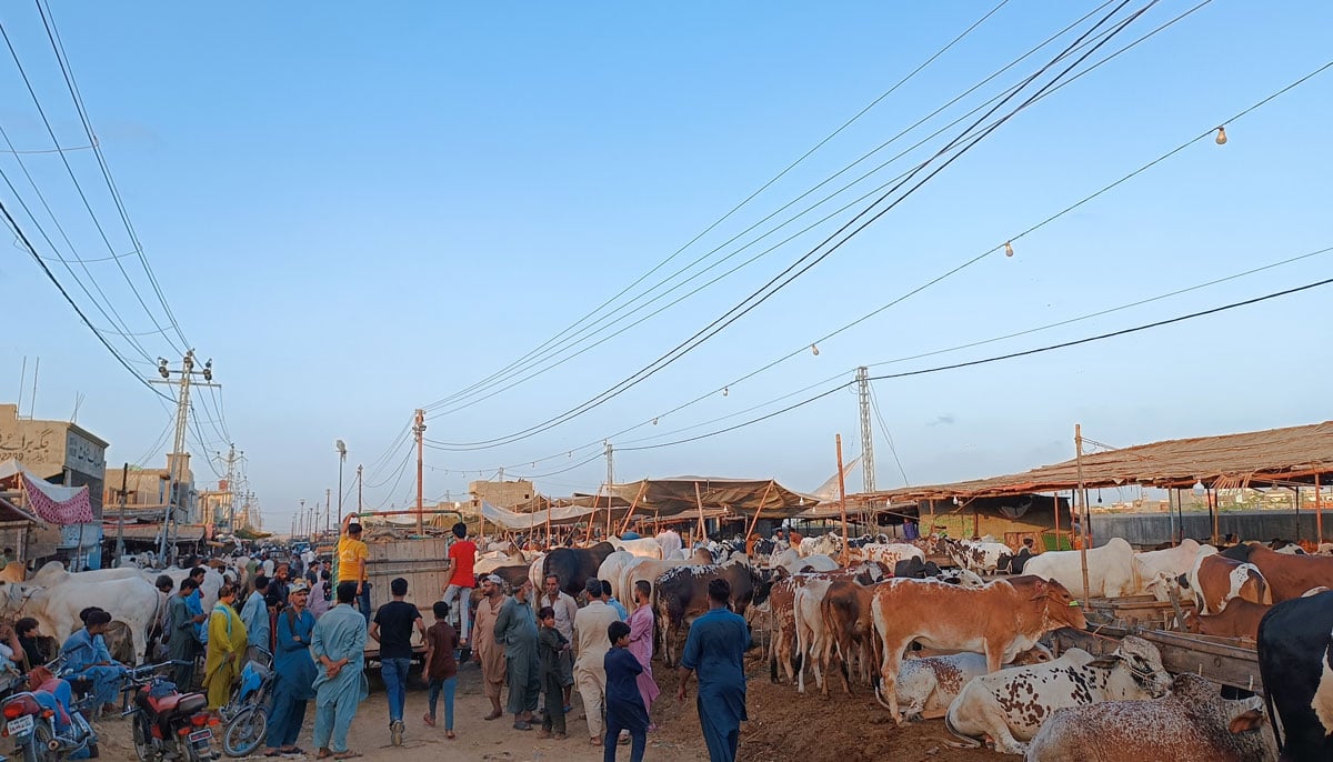 This picture, taken on June 17, 2023, shows people waiting to get through their way as a vehicle stands in Yousuf Goth Mandi. — By the author