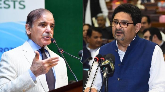 Not undermining anyone, but constrained to tell truth, says Miftah in response to PM's criticism