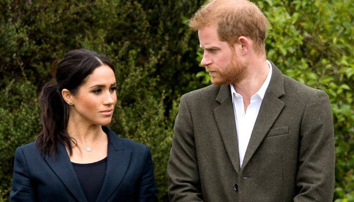 Meghan Markle, Prince Harry are ‘always running at 100 mph a minute’