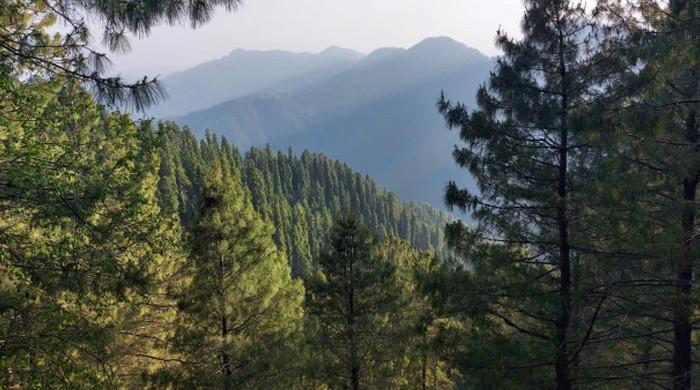 Scenic tourist spots in KP get international recognition