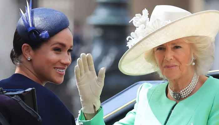 Queen Camilla Seemingly Makes Thinly Veiled Dig At Meghan Markle