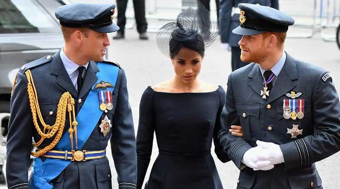 Prince Harry has chance to make amends with brother William