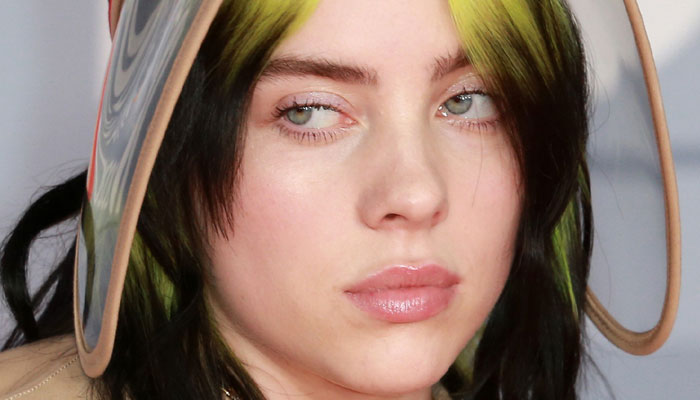 Billie Eilish has said the negativity often affected her