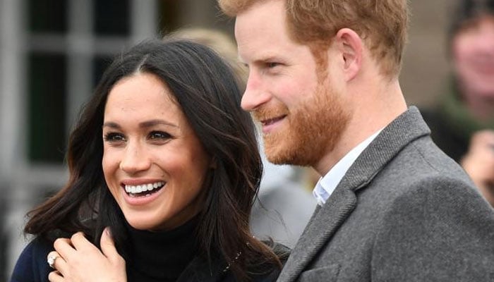 Prince Harry, Meghan Markle are ‘clueless’ about what makes a business