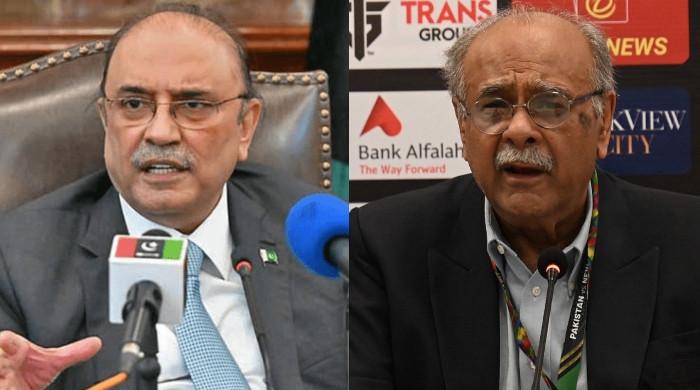 Najam Sethi pursued Asif Zardari for PCB top spot, sources say