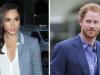 Meghan Markle is ‘a C-list actress on a good wicket’