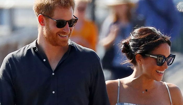 Prince Harry, Meghan Markle’s ‘penchant for private jets’ will ‘be their undoing’