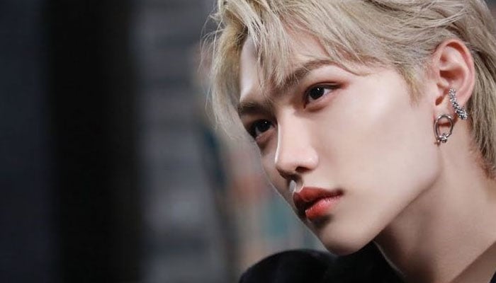 stray kids felix