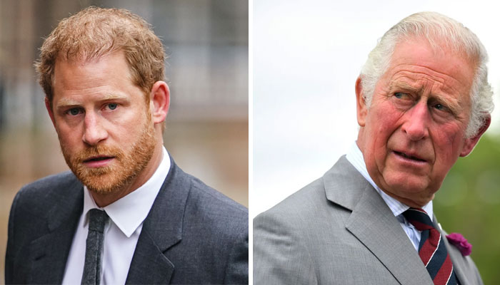 Prince Harry will never ‘retreat or decide to let go of past royal family mistakes’