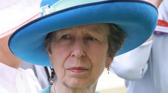 Princess Anne had murder attempt without 'hint' from 'schizophrenia ...