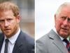 Prince Harry will never ‘retreat or decide to let go of past royal family mistakes’