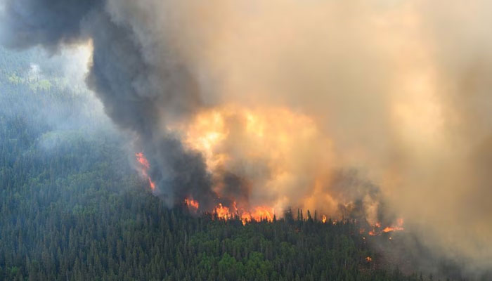 Flames reach upwards along the edge of a wildfire as seen from a Canadian Forces helicopter surveying the area near Mistissini, Quebec, Canada June 12, 2023. — Reuters