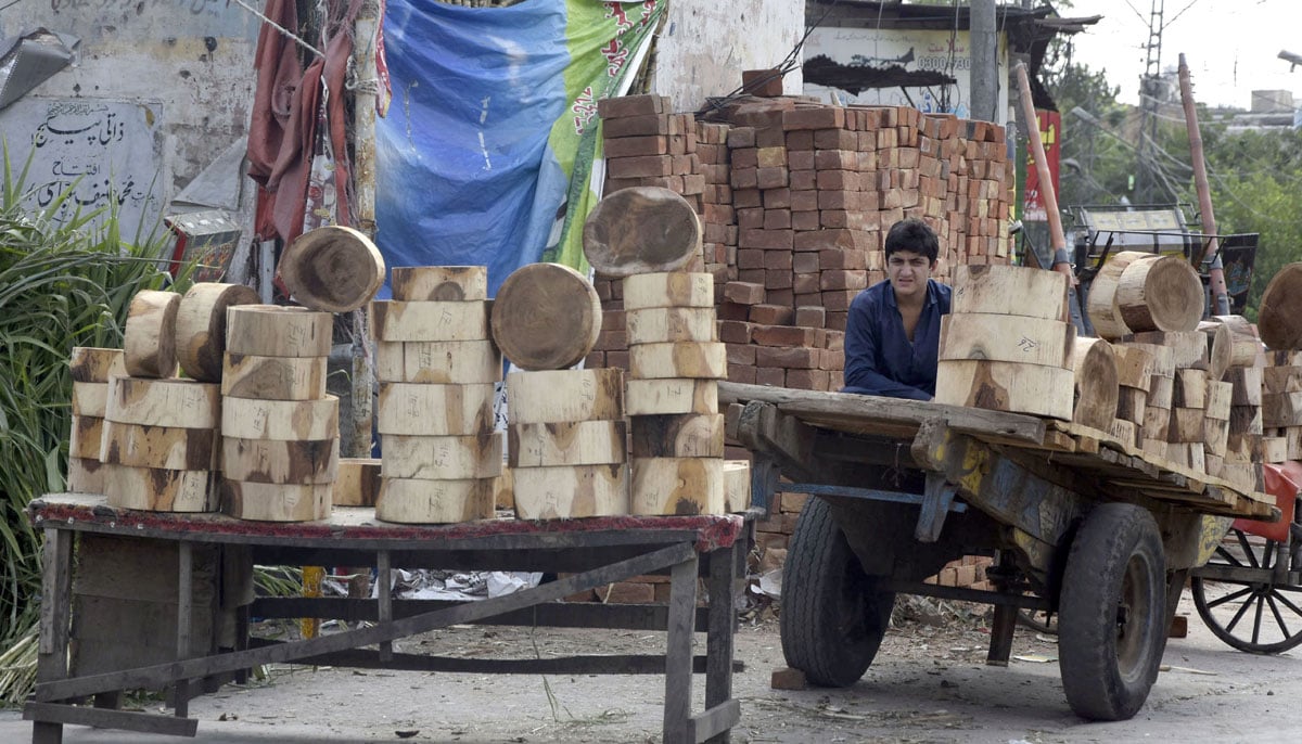 A vendor has displayed Butchers Blocks along the roadside due to high demand ahead of Eid-ul-Azha, in the city of Rawalpindi on June 27, 2023.  — Online