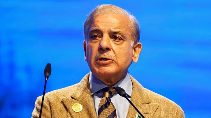 PM Shehbaz to attend SCO virtual summit next week