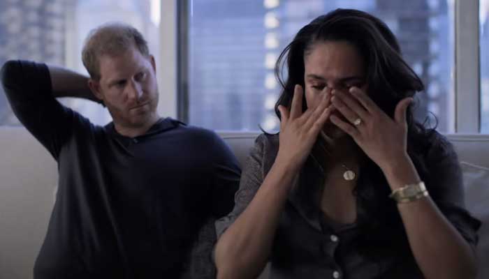 Meghan Markle failed to fulfil her dream?