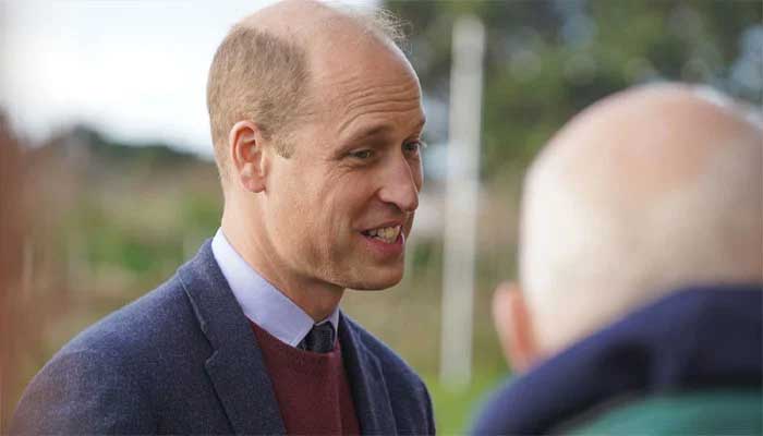 Prince William should follow in the footsteps of Crown Prince Denmark?