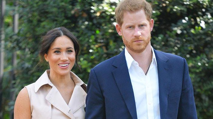 ‘Power couple’ Meghan Markle, Prince Harry could earn more by ‘divide