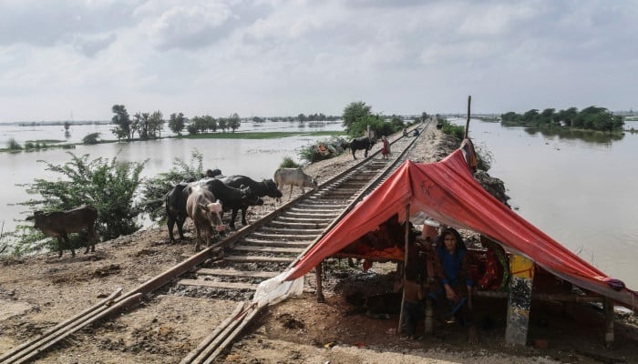 Act now: Amid heatwaves and hailstorms, a climate bomb is ticking for us - Vimarsana News