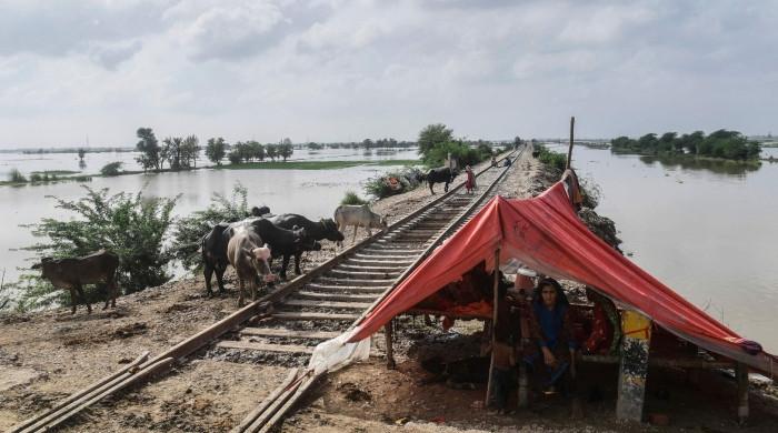 Act now: Amid heatwaves and hailstorms, a climate bomb is ticking for us