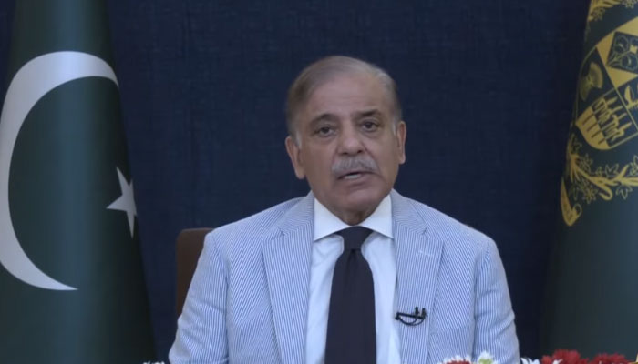 Prime Minister Shehbaz Sharif is addressing the nation, in this screengrab taken on July 13, 2023. – YouTube/PTV News