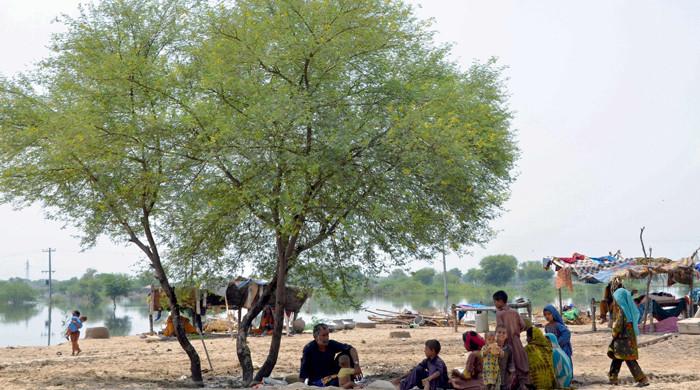 Report identifies Pakistan as 'highly vulnerable' to climate change impacts