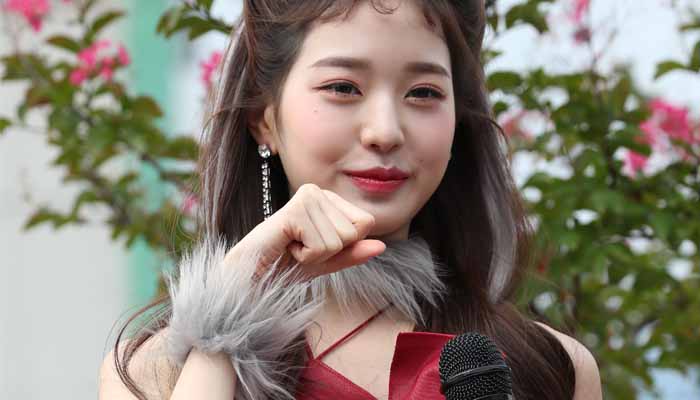 Son Seung Hee explained that Wonyoung had gotten injured while filming and had to get seven stitches
