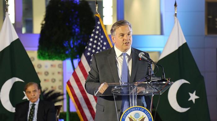 US doesn't interfere in Pakistan's political matters: Ambassador Blome