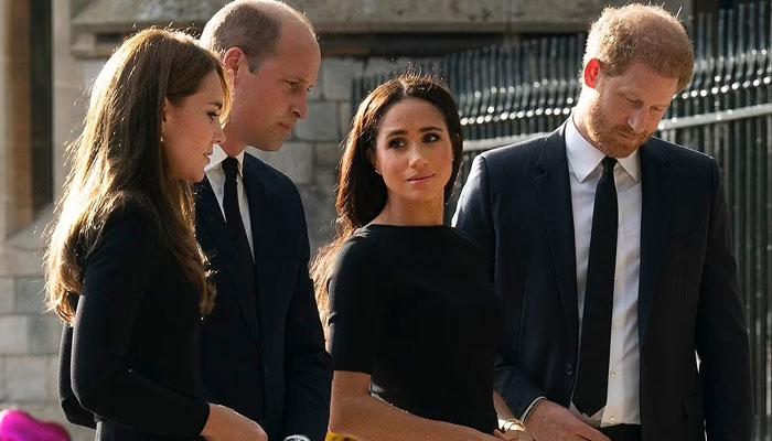 Meghan Markle, Prince Harry’s friend shows anger over media for filming Kate Middleton, William kids