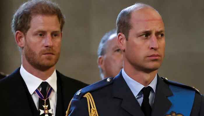Prince William wont meet Harry during his new trip to US