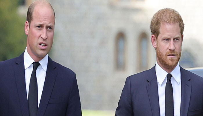 Prince Harry ‘phones’ William for UK return as Megxit ‘blows up in face’